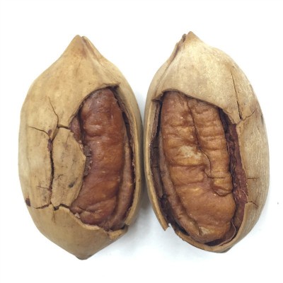 碧根果批量定制1000kg 起订 1000kg