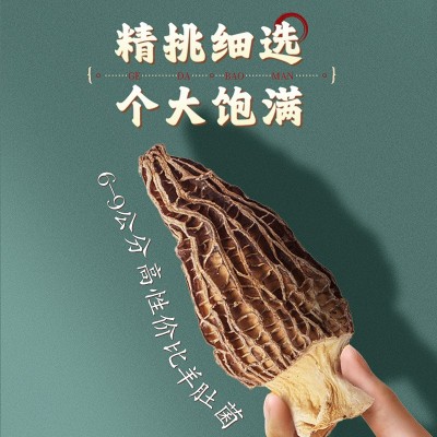 云南羊肚菌7-9干货散货批发3-5cm菌菇包煲汤菌包剪柄羊肚菌礼盒装 1盒图3