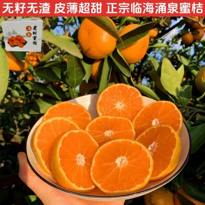 浙江临海正宗涌泉蜜桔新鲜水果黄岩橘子现摘现发10斤礼盒 1箱图2