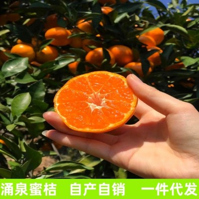 浙江临海正宗涌泉蜜桔新鲜水果黄岩橘子现摘现发10斤礼盒 1箱