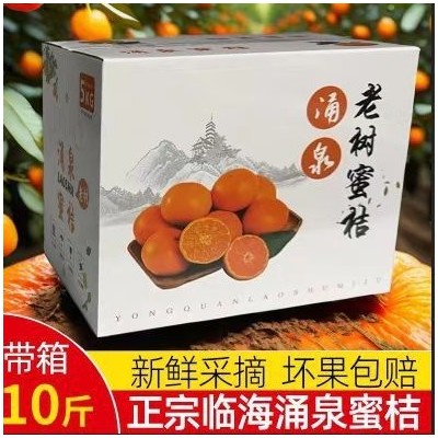 临海涌泉蜜桔无籽蜜橘新鲜橘子当季水果整箱现摘10斤浙江黄岩桔子 1箱图2