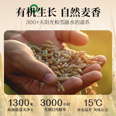 【商超同款】巨香九延有机面260g方便速食早餐劲道爽滑5袋装 1袋图2