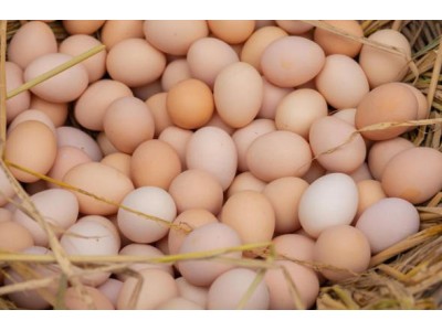 鸡蛋怎么选？从蛋壳到蛋黄，3分钟看懂好鸡蛋的“身份证”