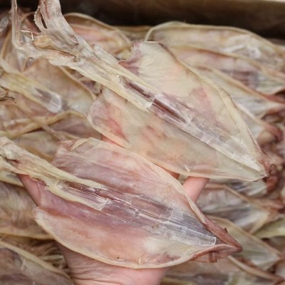 福建霞浦 淡晒鱿鱼干 新货大鱿鱼 日晒淡干 特产干货 KTV特级鱿鱼 5000克图2