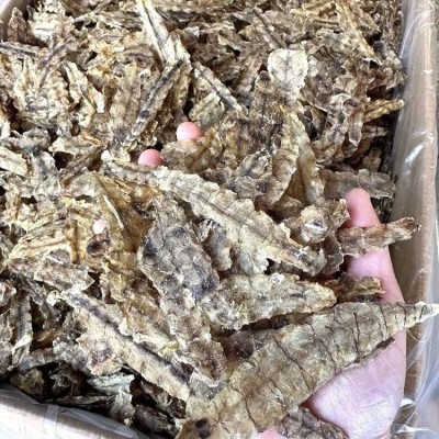 福建霞浦 生晒皮皮虾干 大琵琶虾皮皮虾肉 去壳虾姑肉虾 顺丰直发 500克图3