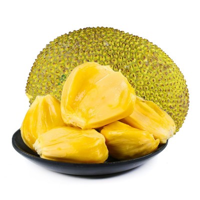 【全年供应】海南黄肉菠萝蜜 新鲜老树菠萝蜜30-35斤榴莲蜜代发 1箱