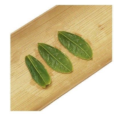 2025新茶明前茶叶核心产区六安瓜片500g散装批发茶叶礼盒送人可选 1斤图4