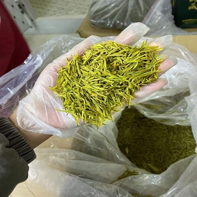 2025年新茶明前春茶黄金芽高山云雾绿茶安吉原产散装茶叶批发 1斤图4