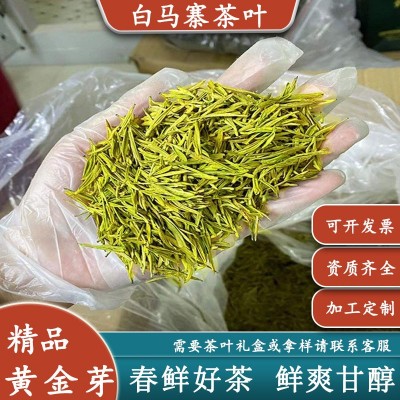 2025年新茶明前春茶黄金芽高山云雾绿茶安吉原产散装茶叶批发 1斤