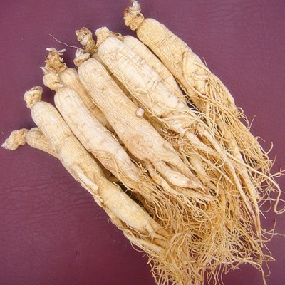 源头货六年根15支全须生晒参人参长白山地产中药材各种规格人参 2斤图4