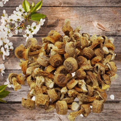 土特产手选短柄小帽姬松茸干货食用菌巴西菇非地摊货肉厚特级优选 1件图3