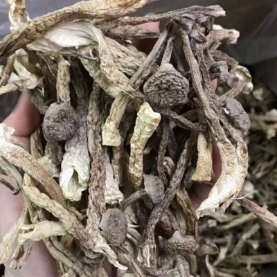 福建农产品土新货特产鹿茸菌干货去蒂头鹿茸菇餐饮酒家新菜品 1袋图4