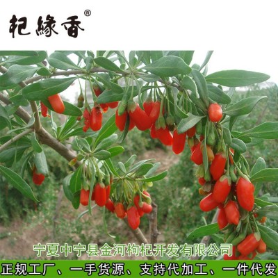 2024年新货散装枸杞宁夏枸杞金河工厂批发箱装特级中宁子头茬枸杞 2件图5