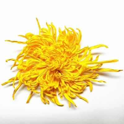 新菊花茶金丝皇菊散装菊花茶批发黄山大朵黄菊花花果茶叶源头工厂 2斤图5