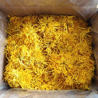 新菊花茶金丝皇菊散装菊花茶批发黄山大朵黄菊花花果茶叶源头工厂 2斤图4