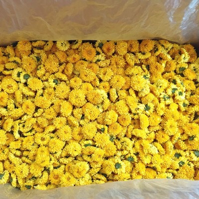 新货厂家直供 徽州皇菊批发散装菊花茶 婺源皇菊球菊大朵黄贡菊花 1斤图2