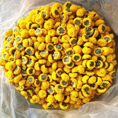 新货厂家直供 徽州皇菊批发散装菊花茶 婺源皇菊球菊大朵黄贡菊花 1斤图4