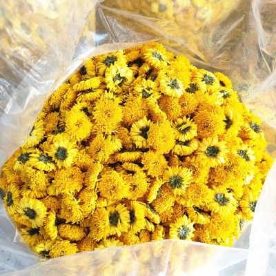 新货厂家直供 徽州皇菊批发散装菊花茶 婺源皇菊球菊大朵黄贡菊花 1斤图3