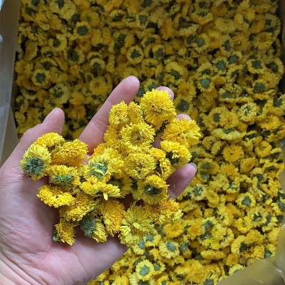 婺源黄菊散货散装批发 一朵一杯徽州黄菊花茶黄菊花大皇菊 1斤图5