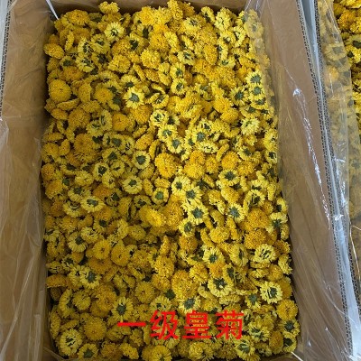 婺源黄菊散货散装批发 一朵一杯徽州黄菊花茶黄菊花大皇菊 1斤图4