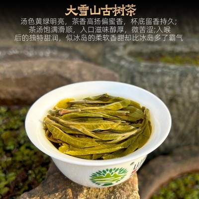 普洱茶生茶散茶新春茶叶大雪山纯料大树生普洱茶特级生茶散装500g 1斤图4