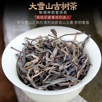 普洱茶生茶散茶新春茶叶大雪山纯料大树生普洱茶特级生茶散装500g 1斤