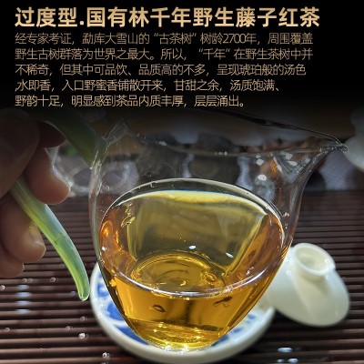 大雪山滇红茶野生红茶野生古树滇红茶500g茶叶云南过渡型.国有林 1斤图3