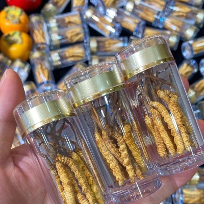 西藏那曲高海拔冬虫夏草虫草瓶装6根装虫草足干冬虫夏草10根虫草 20g图4