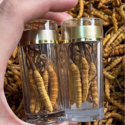 西藏那曲高海拔冬虫夏草虫草瓶装6根装虫草足干冬虫夏草10根虫草 20g