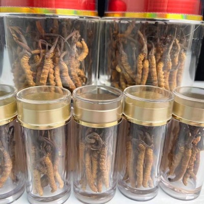 西藏那曲高海拔冬虫夏草虫草瓶装6根装虫草足干冬虫夏草10根虫草 20g图3