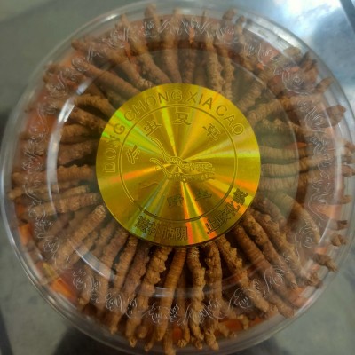 西藏那曲冬虫夏草晒干 西藏那曲高海拔虫草 2根1克大草源头直采 5克