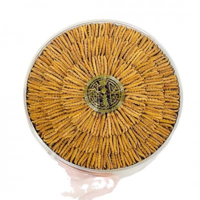 西藏那曲精选冬虫夏草 滋补养生馈赠佳品 虫草源头产地批发 代发 5克图5