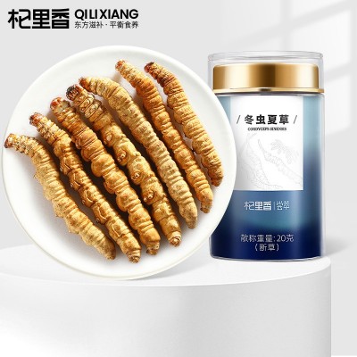【杞里香】冬虫夏草 20g瓶装断草头期装冬虫夏草虫草冬虫 1瓶