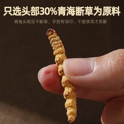 【杞里香】冬虫夏草 20g瓶装断草头期装冬虫夏草虫草冬虫 1瓶图4