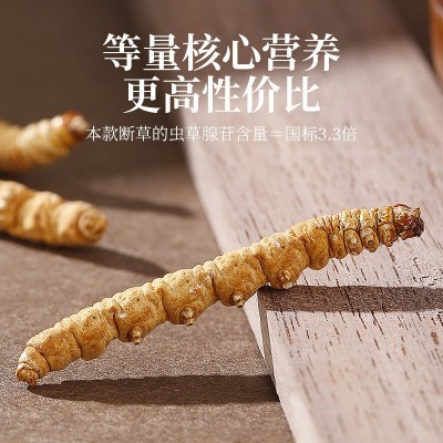 【杞里香】冬虫夏草 5g罐装断草那曲冬虫夏草虫草冬虫草 1瓶图2