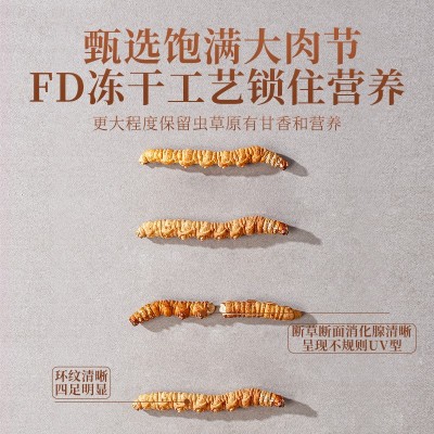 【杞里香】冬虫夏草 5g罐装断草那曲冬虫夏草虫草冬虫草 1瓶图4