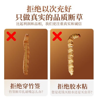 【杞里香】冬虫夏草 5g罐装断草那曲冬虫夏草虫草冬虫草 1瓶图5