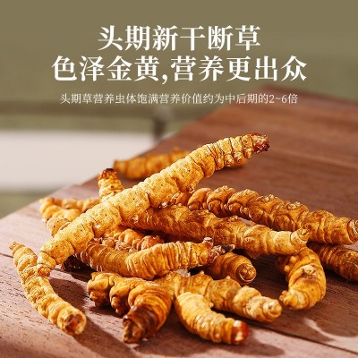 【杞里香】冬虫夏草 5g罐装断草那曲冬虫夏草虫草冬虫草 1瓶图3