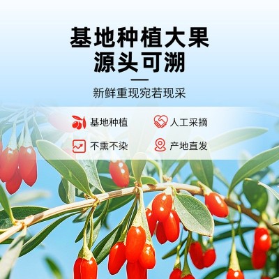 冻干鲜枸杞宁夏无硫大颗粒锁鲜正宗中宁特优红枸杞大包装500g批发 1件