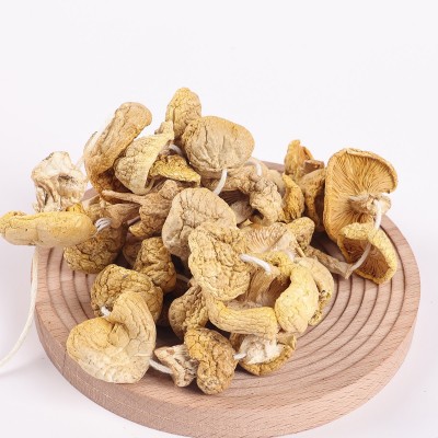 青海黄蘑菇100g原味食用祁连精选黄菇干小鸡炖蘑菇滑菇产地货源 1件