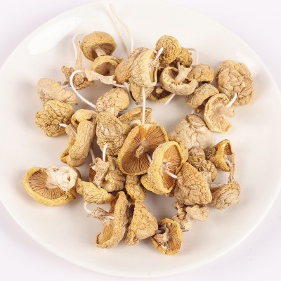 青海黄蘑菇100g原味食用祁连精选黄菇干小鸡炖蘑菇滑菇产地货源 1件图2
