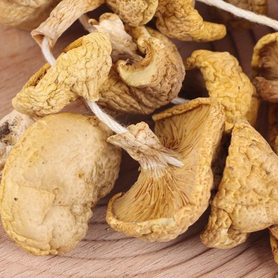 青海黄蘑菇100g原味食用祁连精选黄菇干小鸡炖蘑菇滑菇产地货源 1件图3
