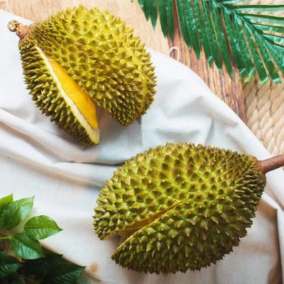 马来西亚进口D197猫山王榴莲带壳整果液氮冷冻猫山王榴莲一件代发 1斤图2