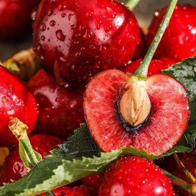 智利进口车厘子5斤新鲜水果当季孕妇水果大樱桃礼盒整箱一件代发 1件图3