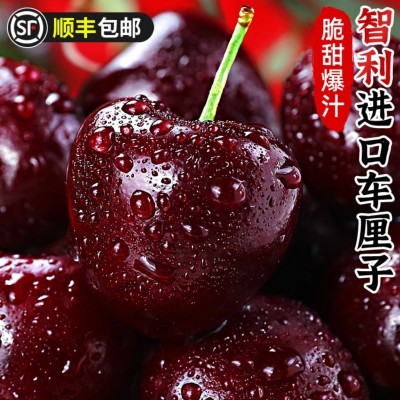 智利进口车厘子5斤新鲜水果当季孕妇水果大樱桃礼盒整箱一件代发 1件图2