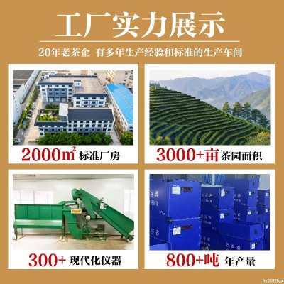 CTC锡兰红茶茶底斯里兰卡手打柠檬茶港式奶茶茶叶红玉特浓 2袋图2