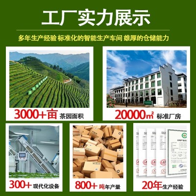 高香茉莉绿茶奶茶店专用水果茶柠檬茶原材料连锁店同款批发茶叶 2袋图3