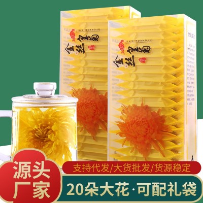 25新花金丝皇菊20朵pvc盒装一朵一杯黄山菊花茶批发金丝黄菊大朵 2盒