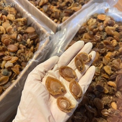 30头40头60头80头100头200头大连干鲍鱼批发淡干鲍鱼一件代发500g   1件图3