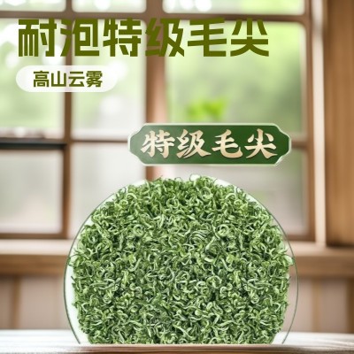 贵州高山云雾绿茶新茶明前春茶毛尖茶叶日照浓香型耐泡散茶批发   2袋